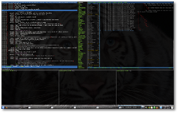urxvt screenshot