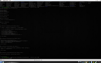 inconsolata c++