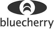 Bluecherry DVR Logo